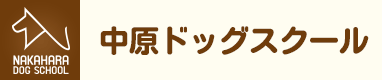 中原ドッグスクール