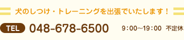 犬のしつけ・トレーニングを出張でいたします！048-678-6500